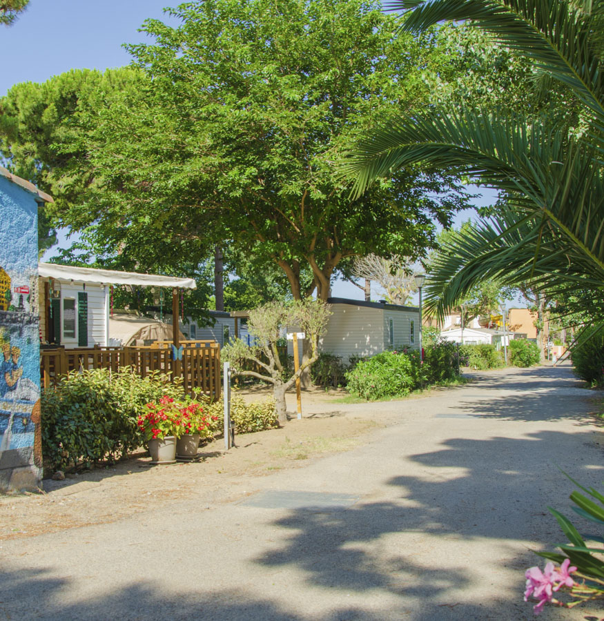 camping frente al mar cap dagde