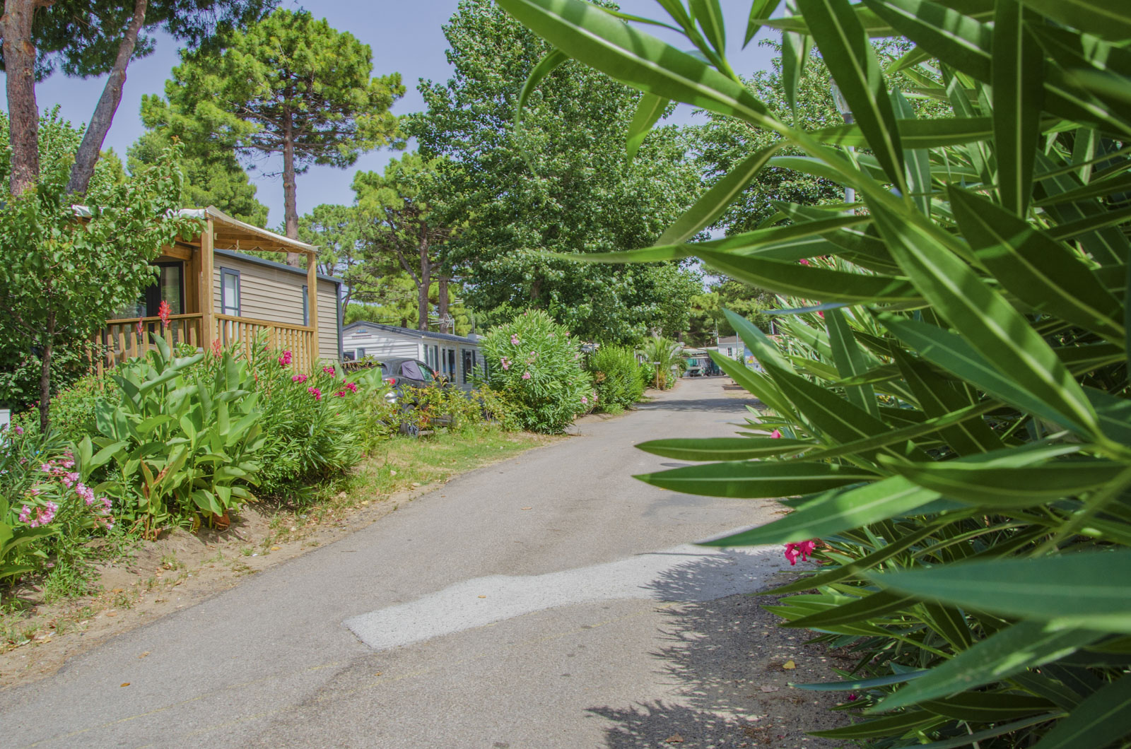 mobil a vendre au cap dagde herault